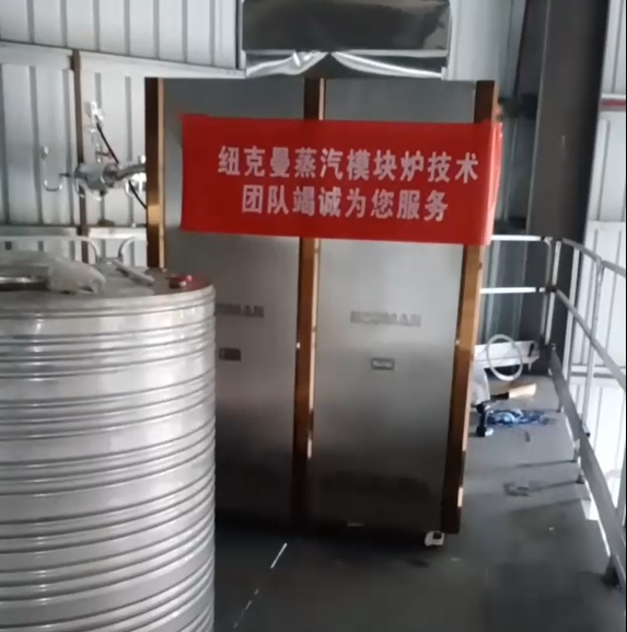 東莞某廠采購(gòu)一臺(tái)紐克曼超低氮蒸汽模塊爐，設(shè)備已調(diào)試完畢!